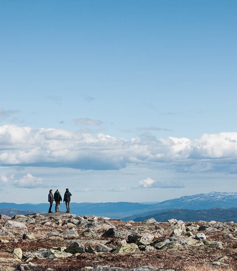 Kolme hahmoa Norjan vuoristossa: Outplacementi